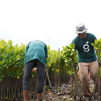 Verified local operations